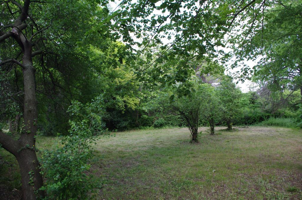 Chateau Le Vergel Authenac Ginestas Værelse billede