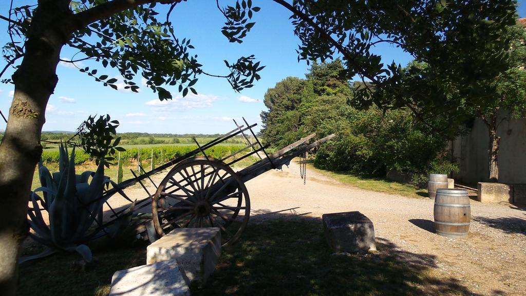 Chateau Le Vergel Authenac Ginestas Værelse billede