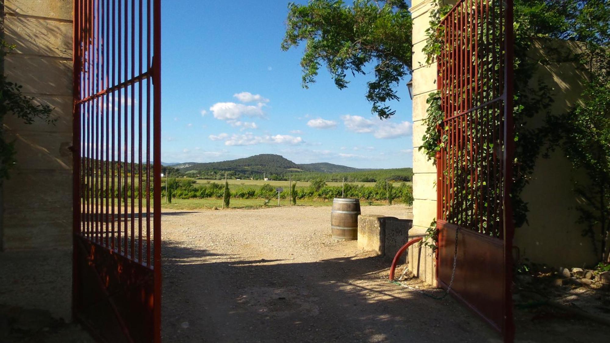 Chateau Le Vergel Authenac Ginestas Værelse billede