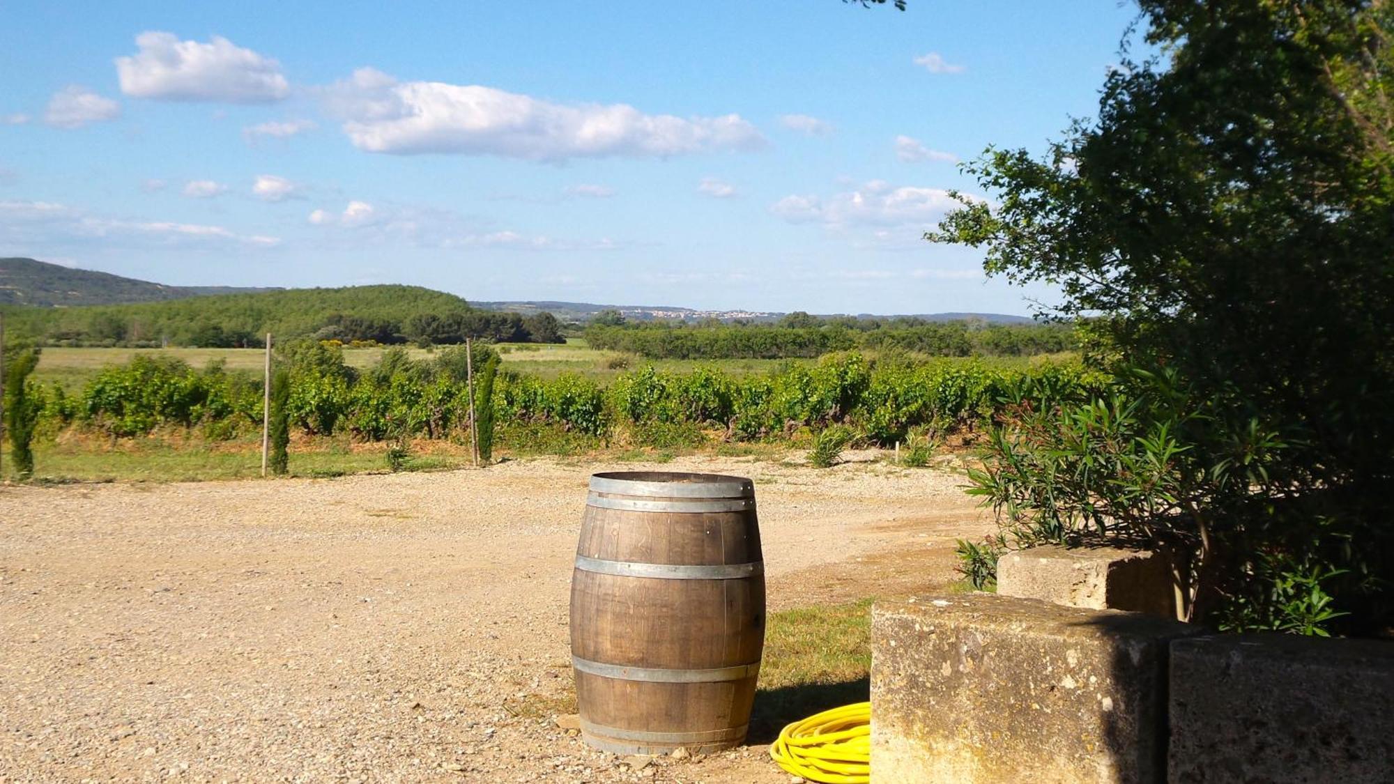 Chateau Le Vergel Authenac Ginestas Værelse billede
